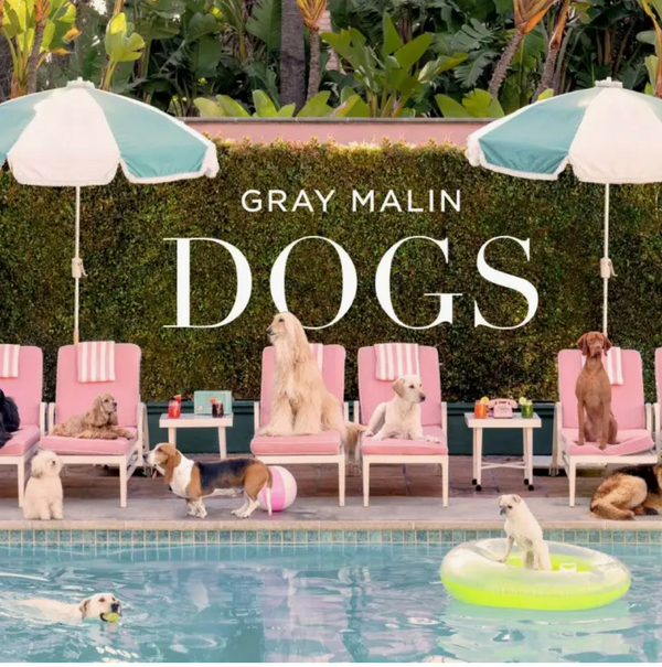 Gray Malin: Dogs